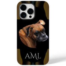 Burma Boxer-Hund