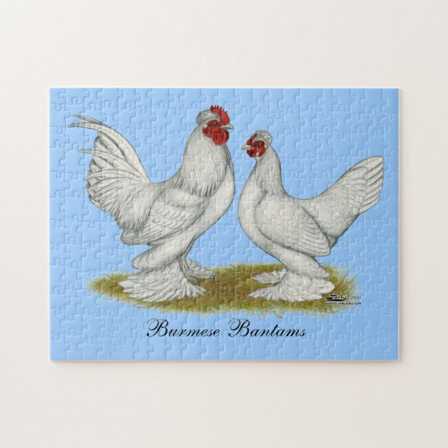 Burmese Bantams Pussel (Horisontell)