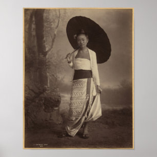 Burmese dam poster