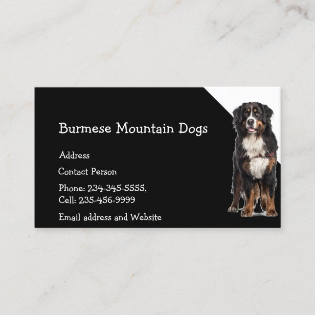 Burmese Mountain Hundar Breeder Pet Sitter Visitkort (Framsida)