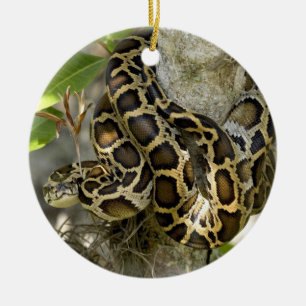 Burmese Python Snake i träd Julgransprydnad Keramik