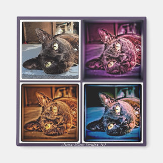 Burmesiska kubanska magnet