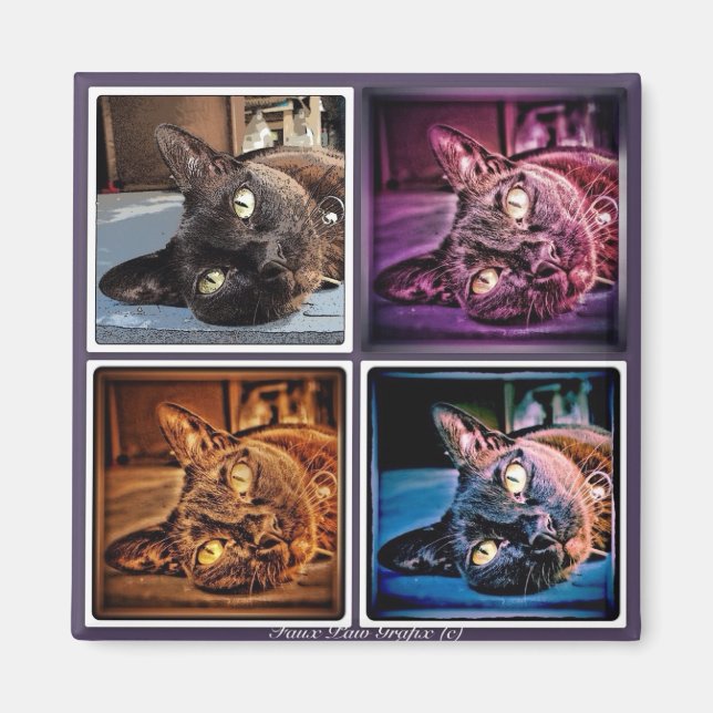 Burmesiska kubanska magnet (Framsidan)