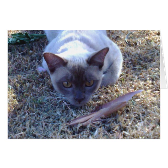 Burmesiskt kassakort hälsningskort (Framsidan Horizontal)