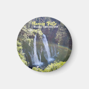 Burney fall magnet