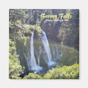 Burney föll magnet