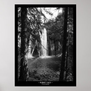 Burney nedgångar till och med träden med poster