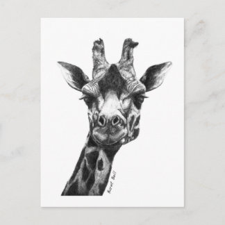 Burney the Giraffe Vykort