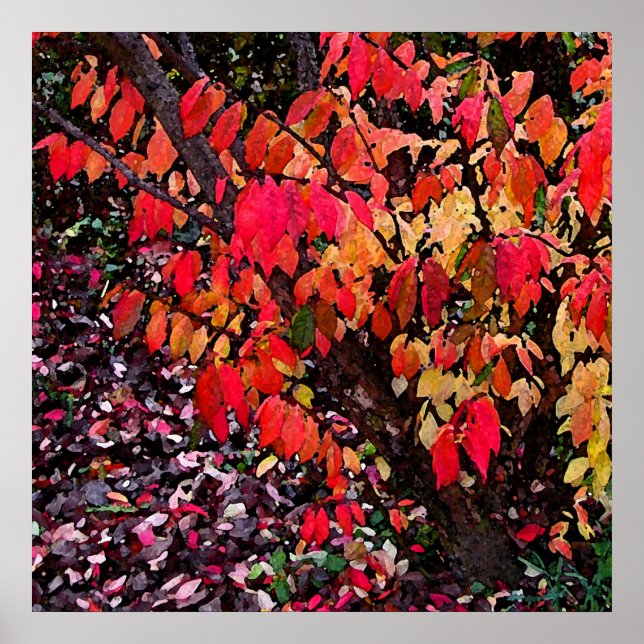 Burning Bush Abstrakt Poster (Framsidan)