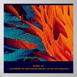 Burning Bush-Abstrakten Poster