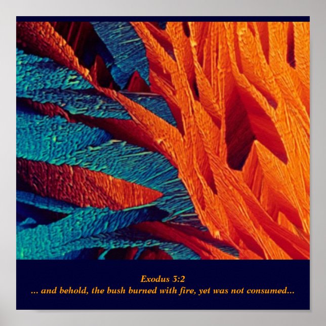 Burning Bush-Abstrakten Poster (Framsidan)