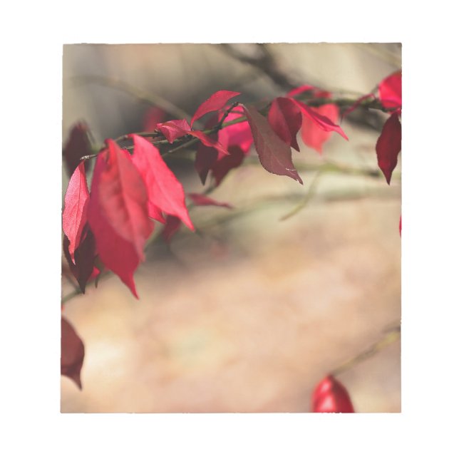 Burning Bush Autumn Foliage - Euonymus alatus Anteckningsblock (Framsida)