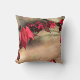 Burning Bush Autumn Foliage - Euonymus alatus Kudde