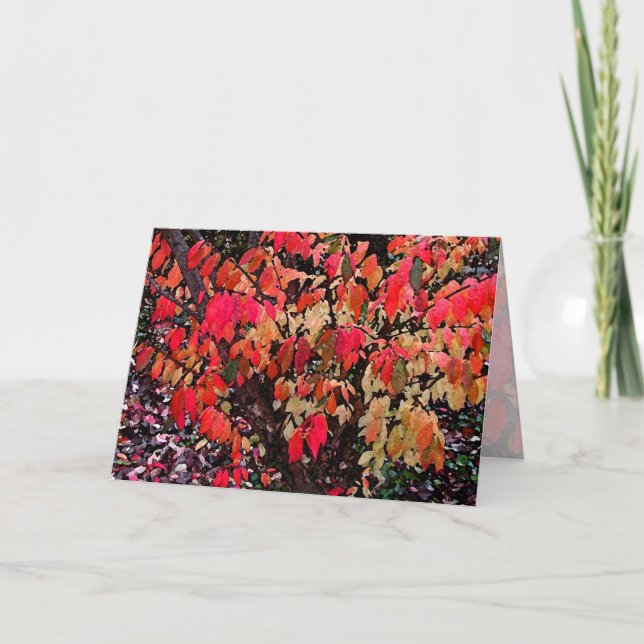 Burning Bush Mors dag Kort (Framsida)