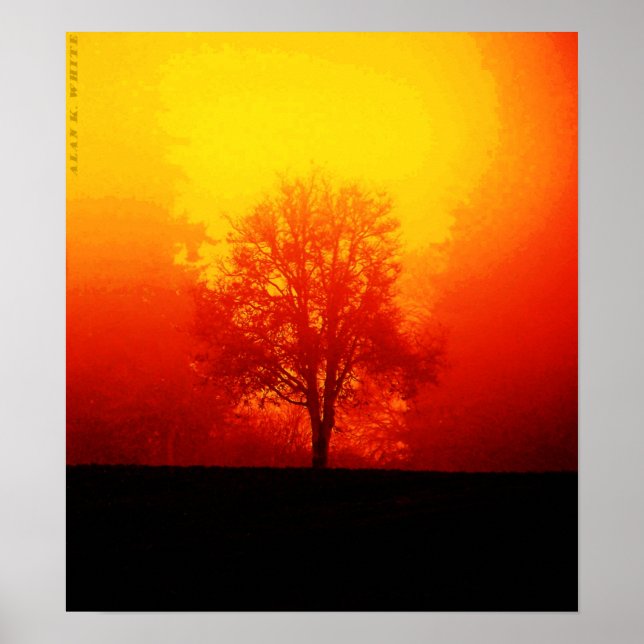 Burning Träd Poster (Framsidan)