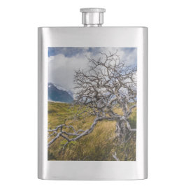 Burnt träd, Torres del Paine, Chile Fickplunta