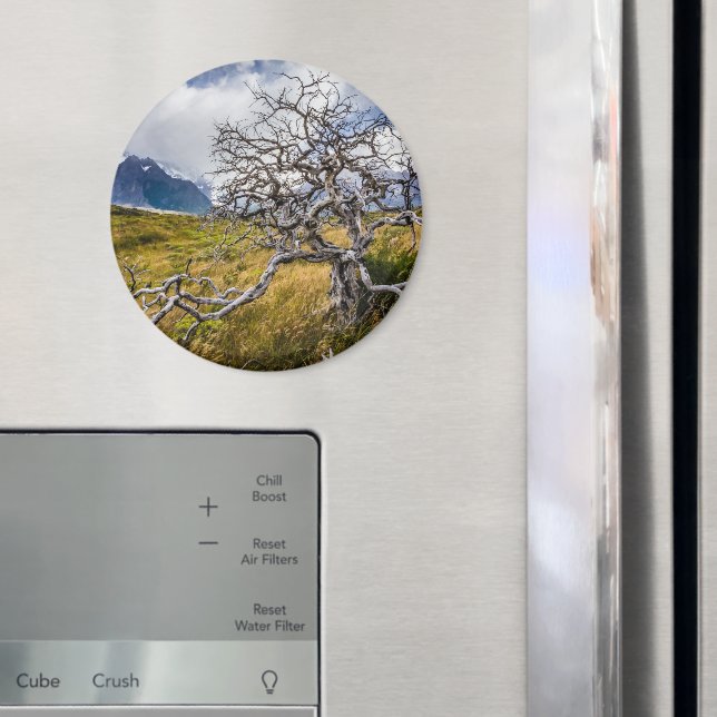 Burnt träd, Torres del Paine, Chile Magnet (In Situ (Fridge))