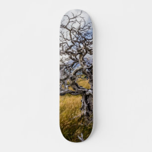 Burnt träd, Torres del Paine, Chile Mini Skateboard Bräda 18,5 Cm