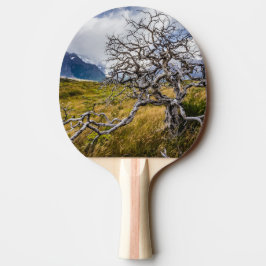 Burnt träd, Torres del Paine, Chile Pingisracket