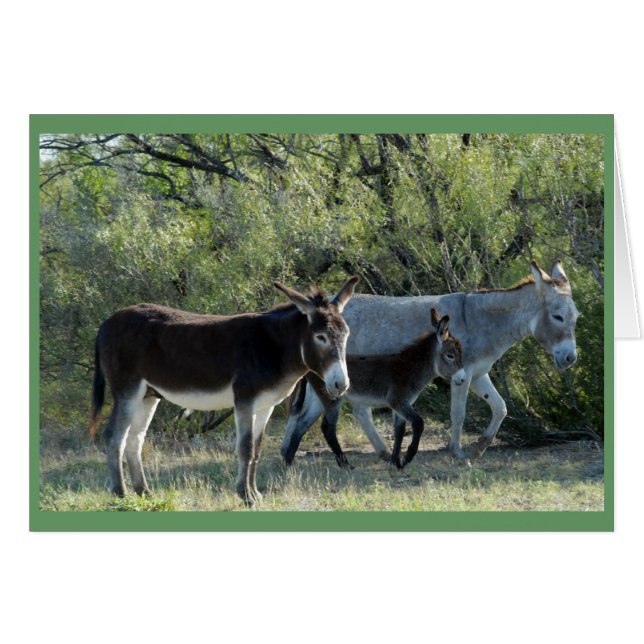 "Burro Family" Hälsningskort (Framsidan Horizontal)