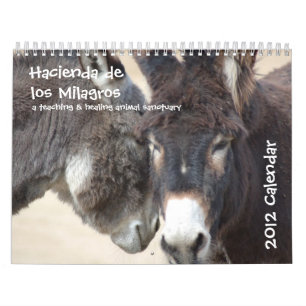 Burro- & hästkalender kalender