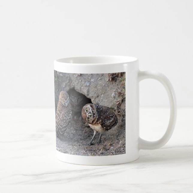 Burrowing Owl Kaffemugg (Höger)