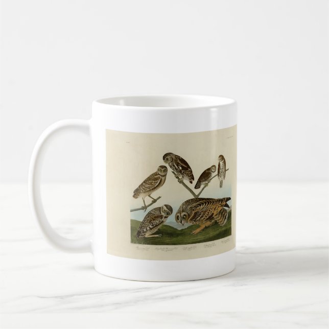 Burrowing Uggla - från Audubon's Birds of America Kaffemugg (Vänster)