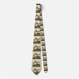 Burrowing Uggla - från Audubon's Birds of America Slips