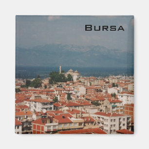 Bursa Magnet