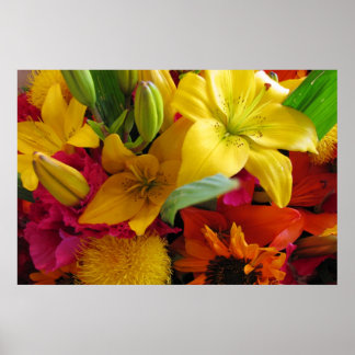 Burst of Färg Poster