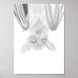 Burt Fladdermusen, Djurutbildning Poster