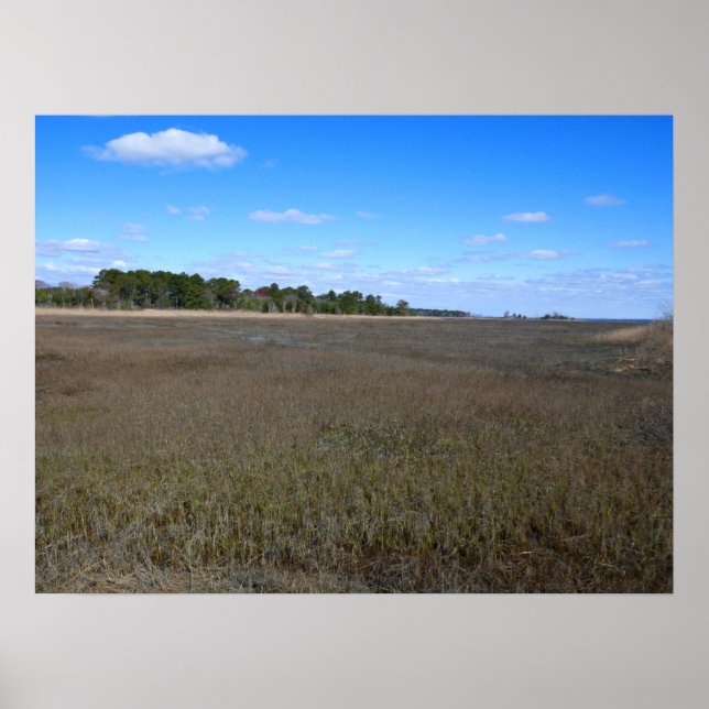 Burton Island Nature Preserve Trail Poster (Framsidan)