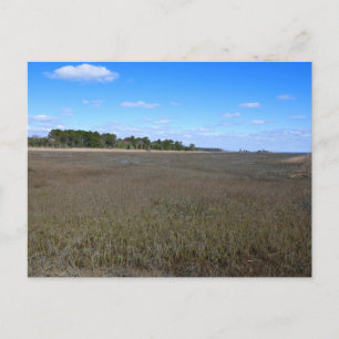 Burton Island Nature Preserve Trail Vykort