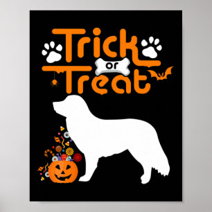 Bus eller godis Anka Tolling Retriever Hund Hallow Poster