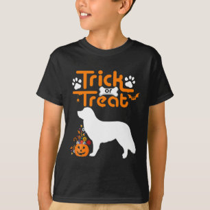 Bus eller godis Anka Tolling Retriever Hund Hallow T Shirt