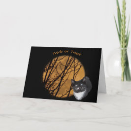 Bus eller godis Halloween Black cat & måne Kort