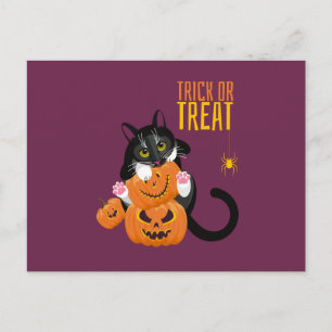 Bus eller godis halloween Cat roligt-vykort Vykort