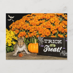 Bus eller godis Halloween Squirrel Helg Vykort