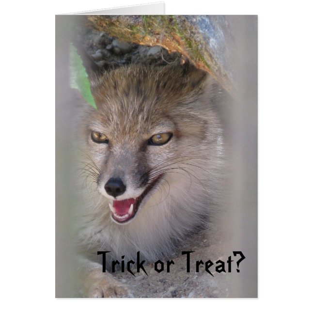 Bus eller godis? hälsningskort (Framsidan)