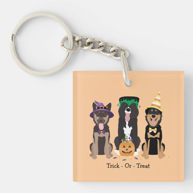 Bus eller godis Hundar i Halloween Costumes (Framsidan)
