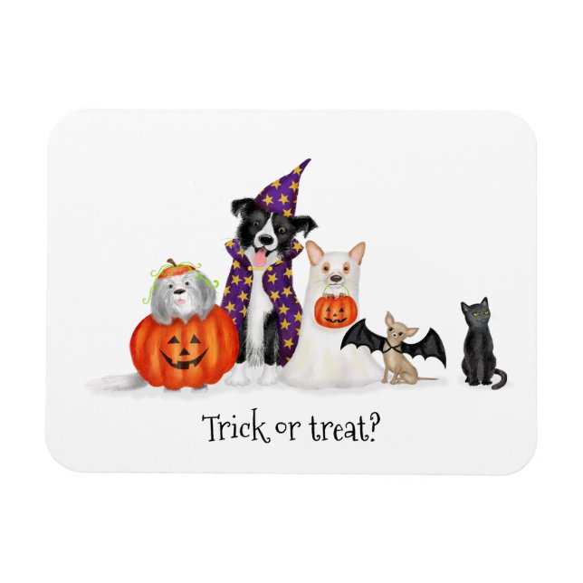 Bus eller godis? Hundar i Halloween costumes magne Magnet (Horisontell)