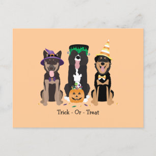 Bus eller godis Hundar i Halloween Costumes Vykort