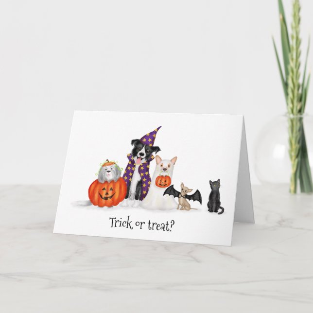 Bus eller godis? Hundar i Halloween-kort Kort (Framsida)