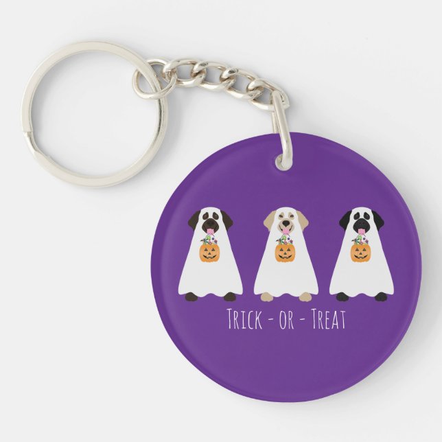 Bus eller godis Labrador Retriever Ghost Hundar (Framsidan)
