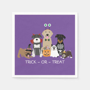 Bus eller godis Pets Halloween Costumes Pappersservett