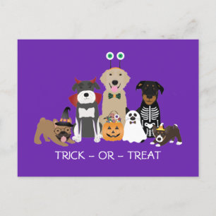 Bus eller godis Pets Halloween Costumes Vykort