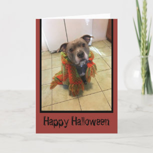 Bus eller godis Pitbull Halloween-kort Kort