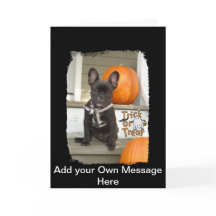 Bus eller godis Valp