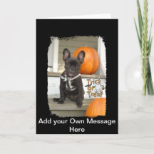 Bus eller godis Valp