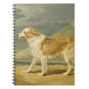 Buse-jackad Collie, 1809 (olja ombord) Anteckningsbok Med Spiral